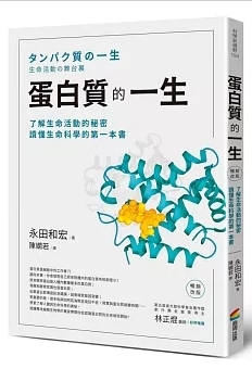 蛋白質的一生